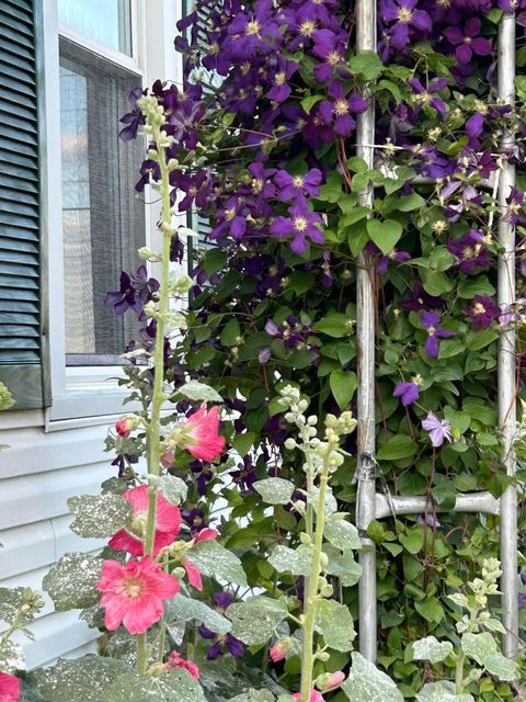 Tiny photo for 17748 Cherokee Street, Harpster, OH 43323 (MLS # 226002540)