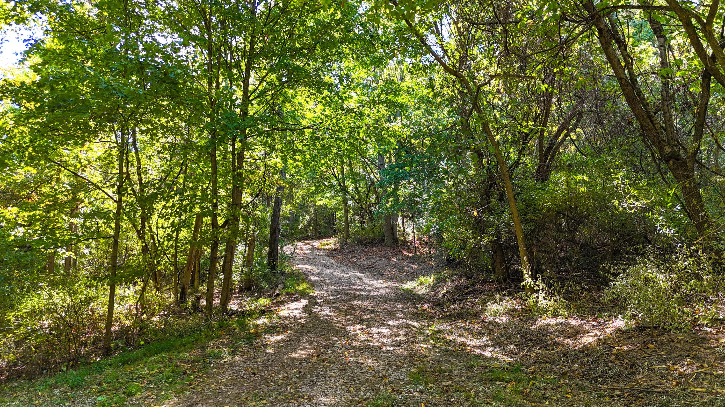 Sunnyside Road, Granville, Ohio image 13