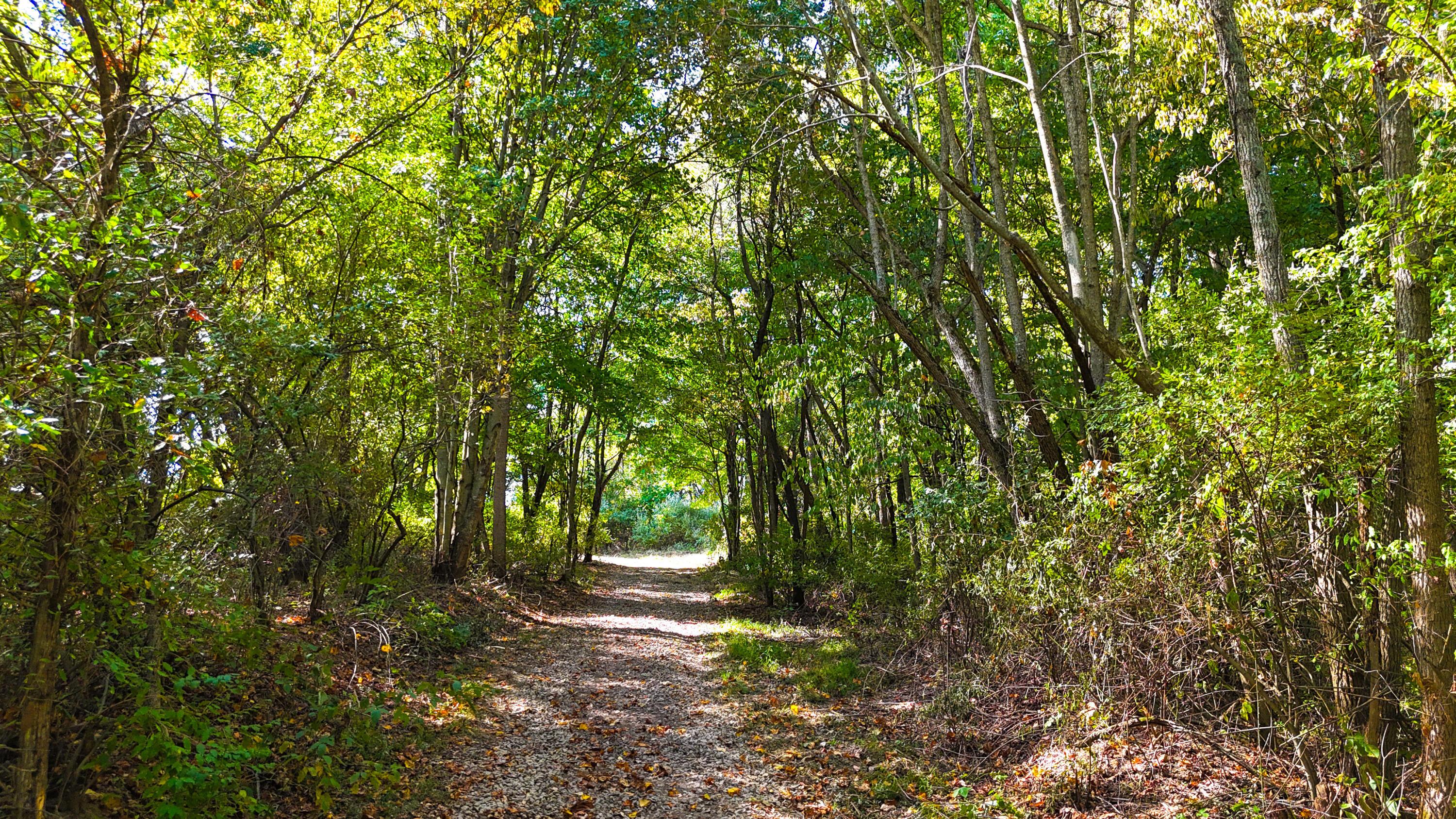 Sunnyside Road, Granville, Ohio image 16