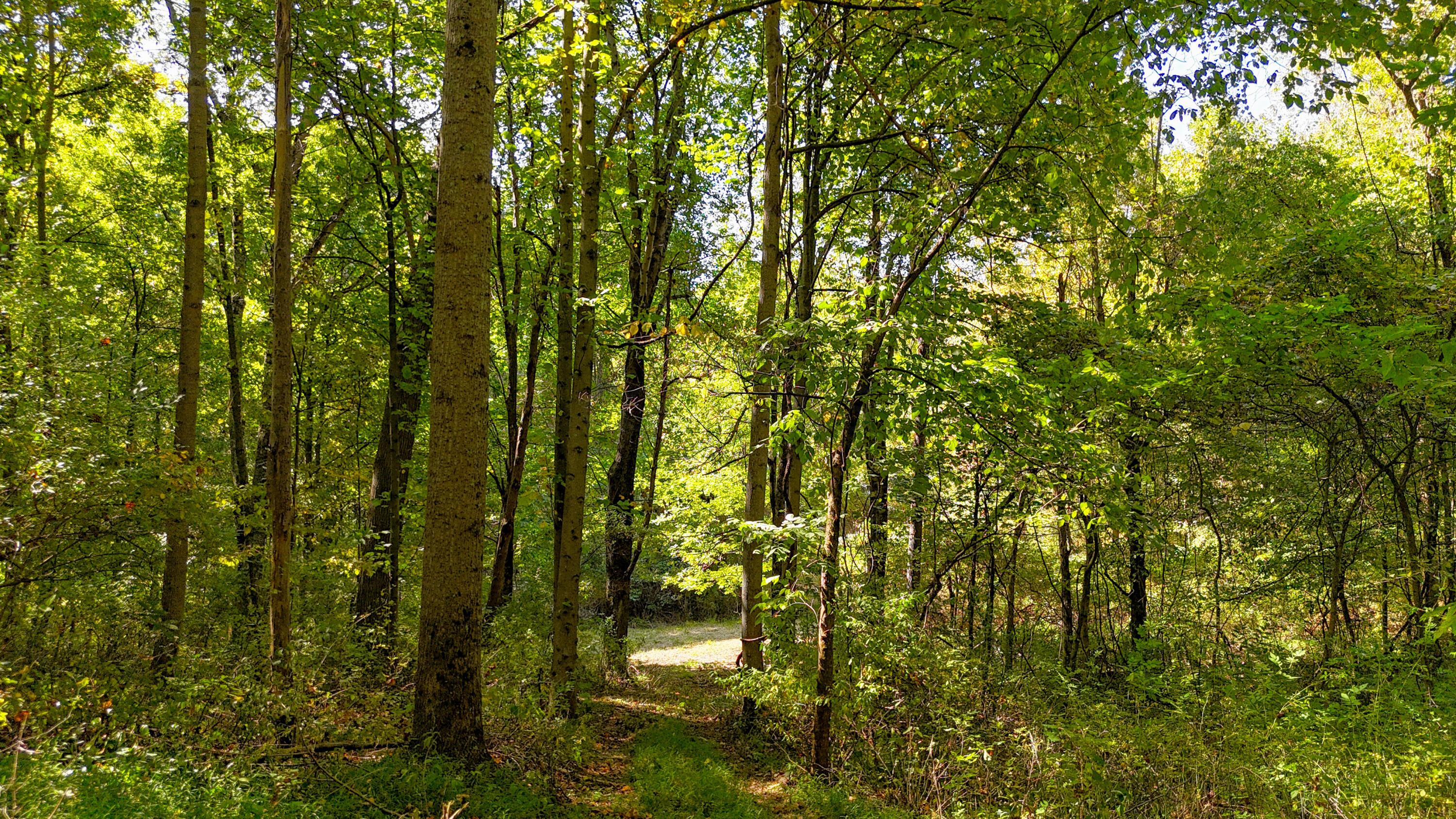 Sunnyside Road, Granville, Ohio image 34