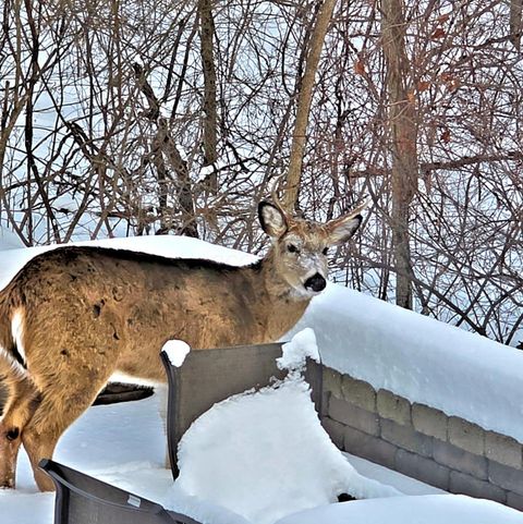 Tiny photo for 2569 Open Bay Court, Galena, OH 43021 (MLS # 226002980)