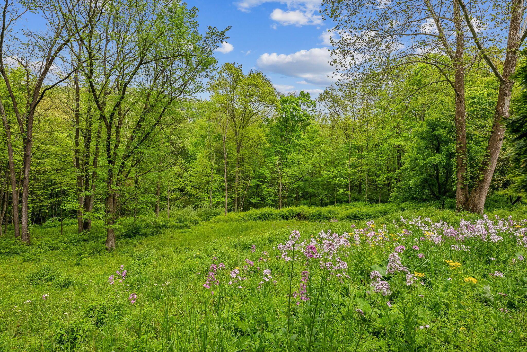1790 Jewett Road, Powell, Ohio image 33