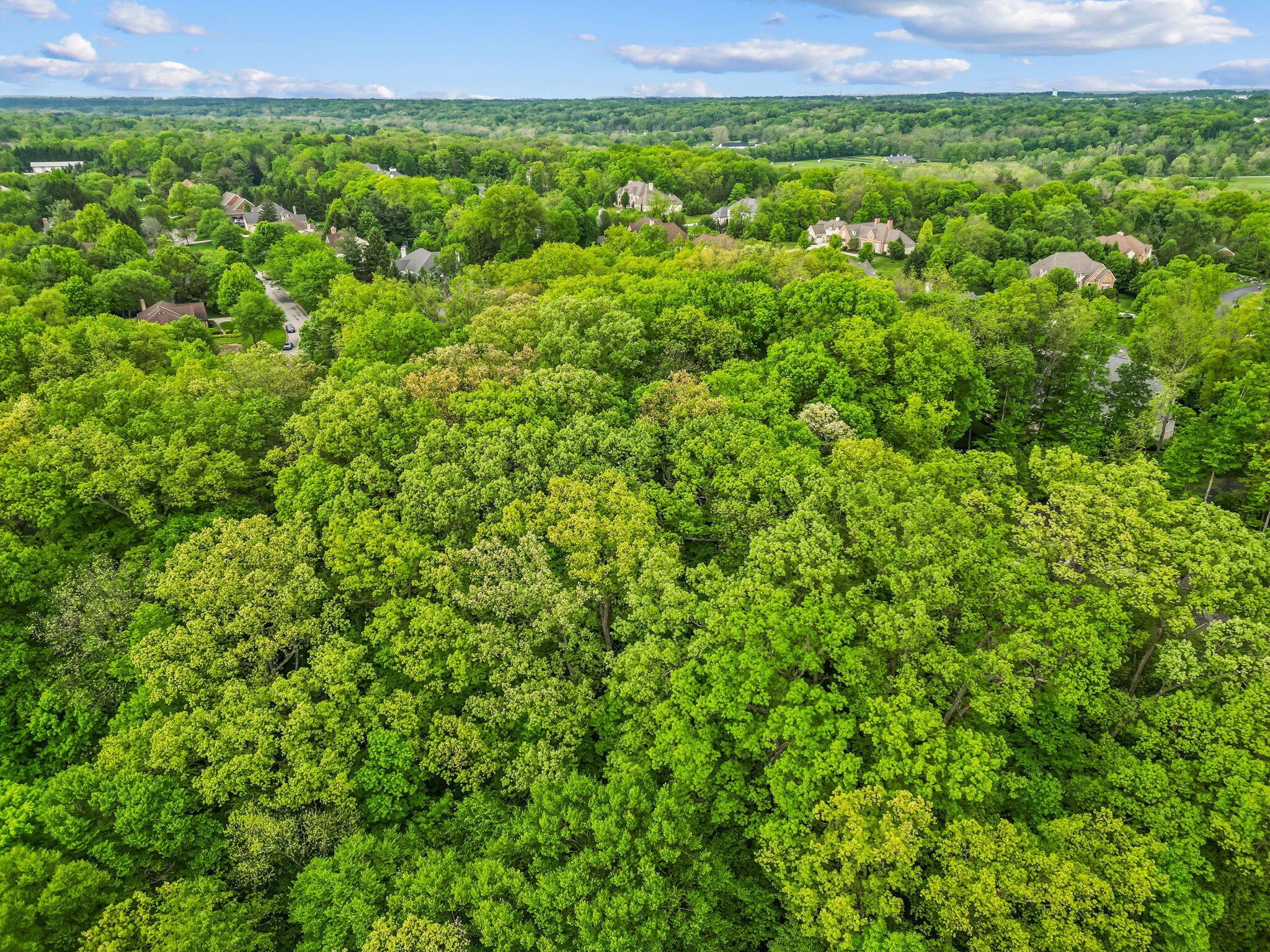 1790 Jewett Road, Powell, Ohio image 3