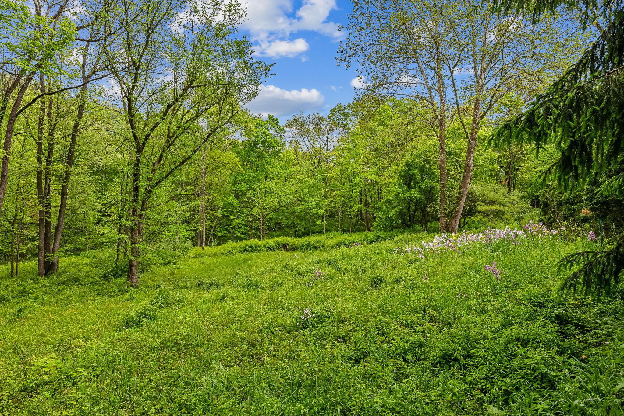 1790 Jewett Road, Powell, Ohio image 32