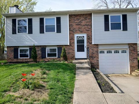 6449 Gunstock Court Reynoldsburg OH 43068