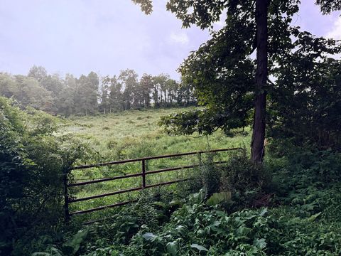 Photo of 0 Martinsburg Road, Saint Louisville, OH 43071 (MLS # 225028542) Photo of 0 Martinsburg Road, Saint Louisville, OH 43071 (MLS # 225028542)