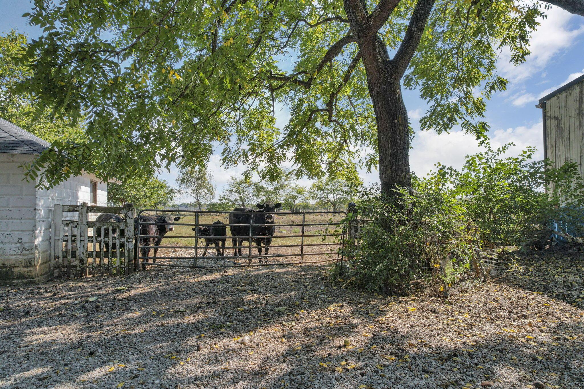 22119 State Route 104, Circleville, Ohio image 44