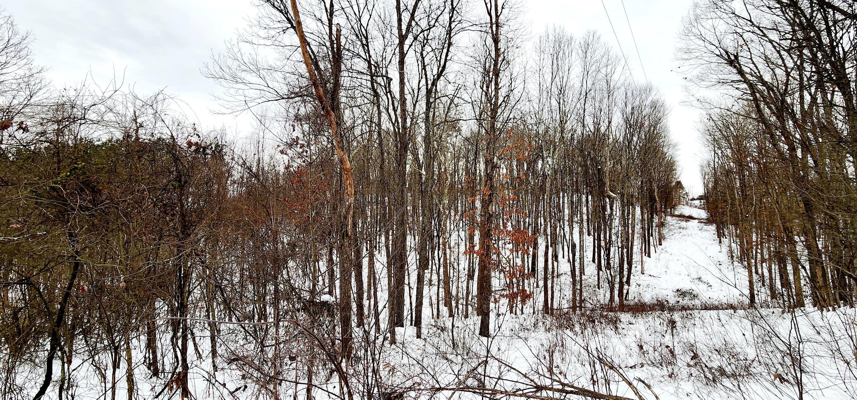 Price Strong Road, Vinton, Ohio image 10