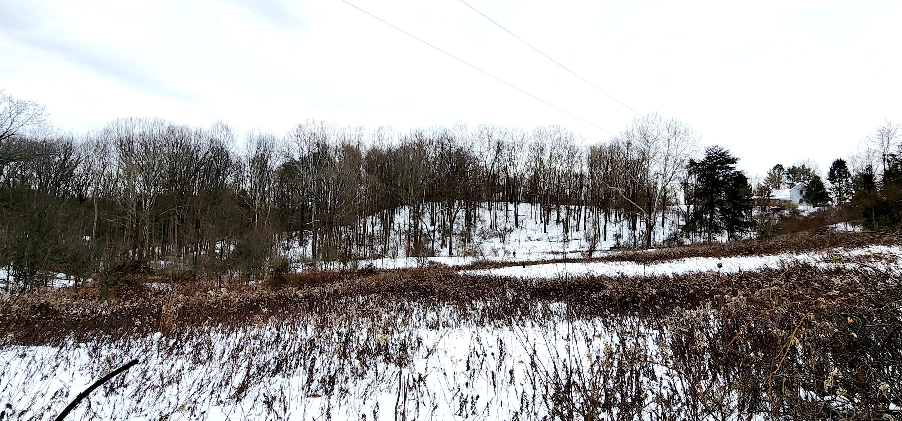 Price Strong Road, Vinton, Ohio image 12