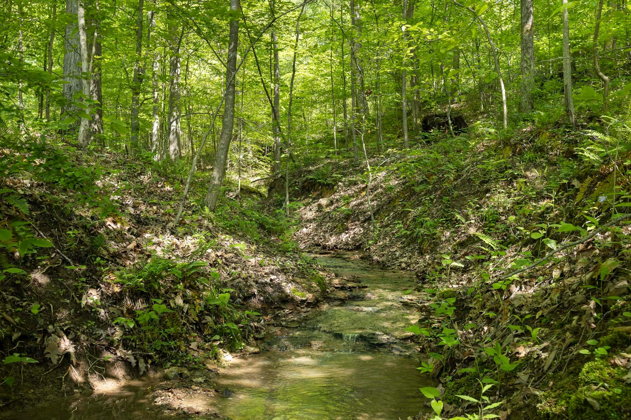 Flint Ridge Road, Hopewell, Ohio image 15