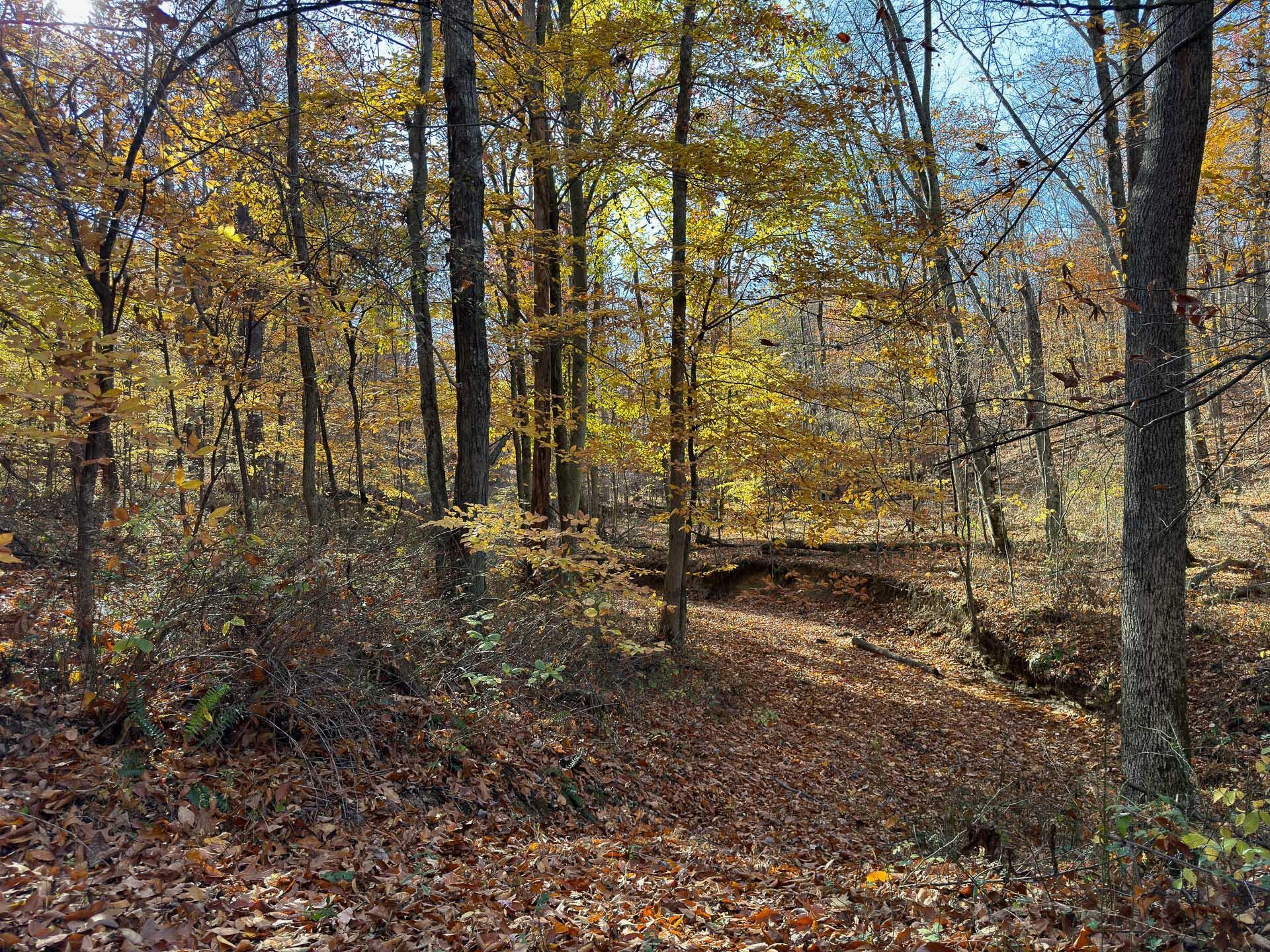 Flint Ridge Road, Hopewell, Ohio image 13