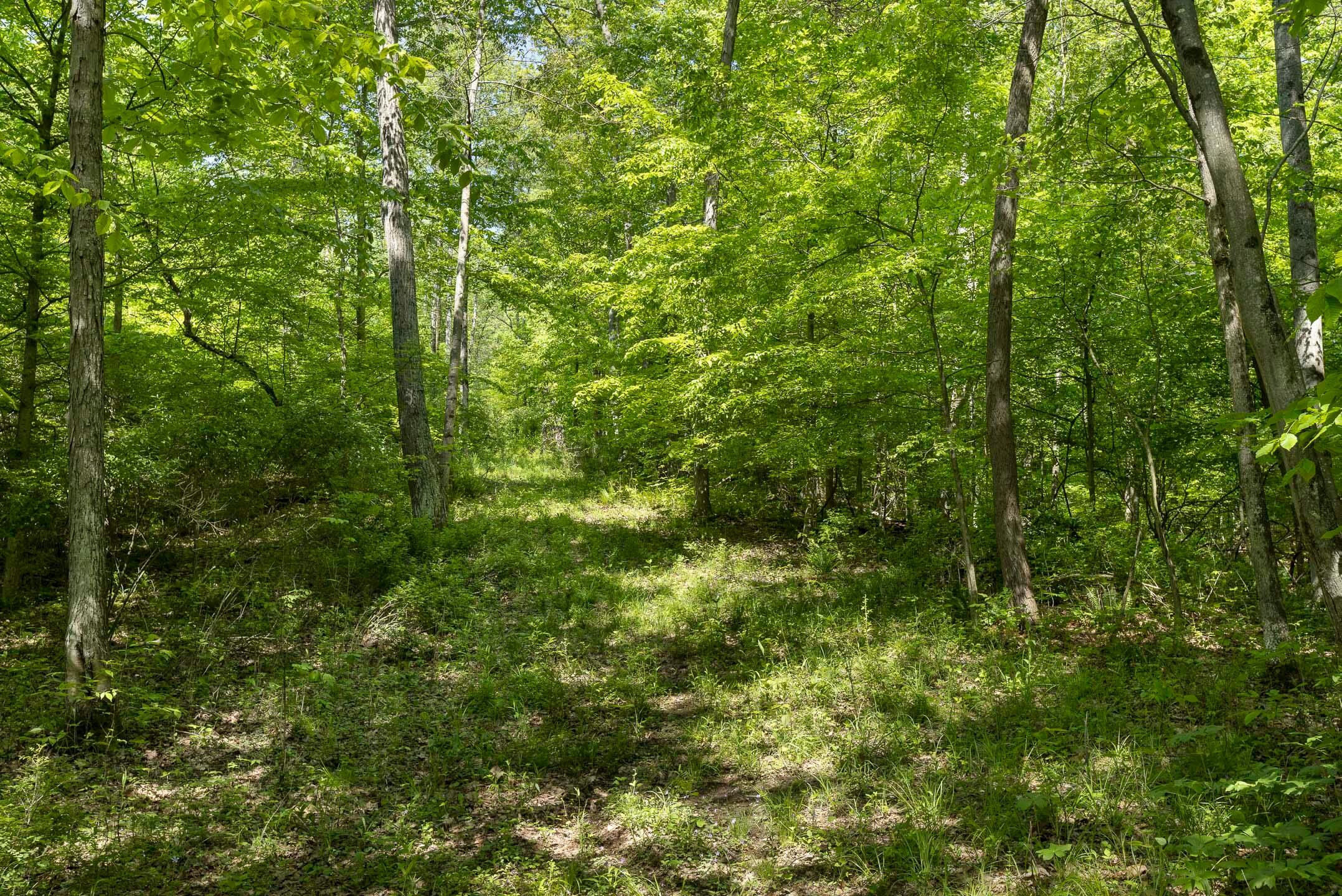 Flint Ridge Road, Hopewell, Ohio image 22