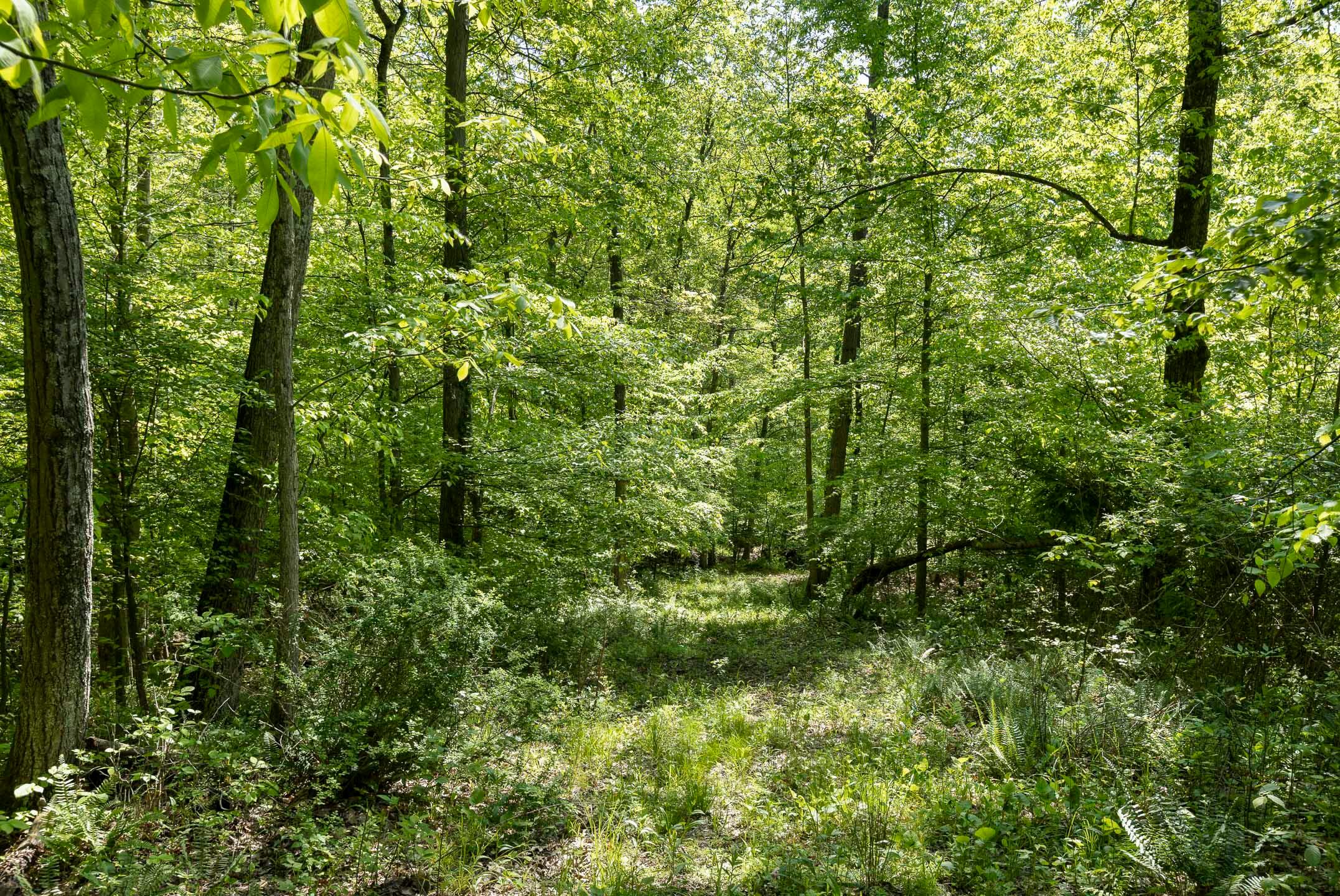 Flint Ridge Road, Hopewell, Ohio image 23