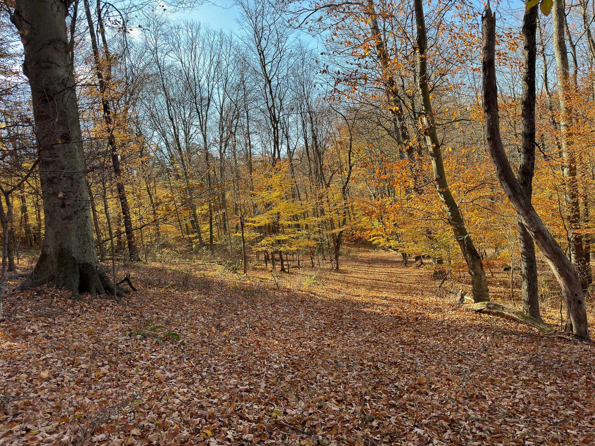 Flint Ridge Road, Hopewell, Ohio image 15