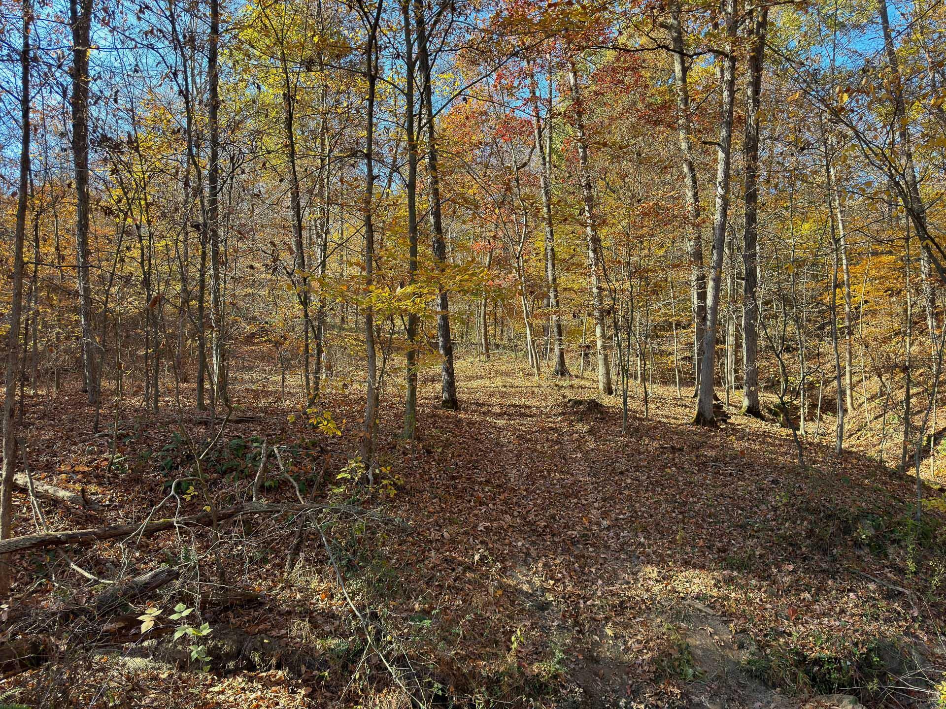 Flint Ridge Road, Hopewell, Ohio image 6