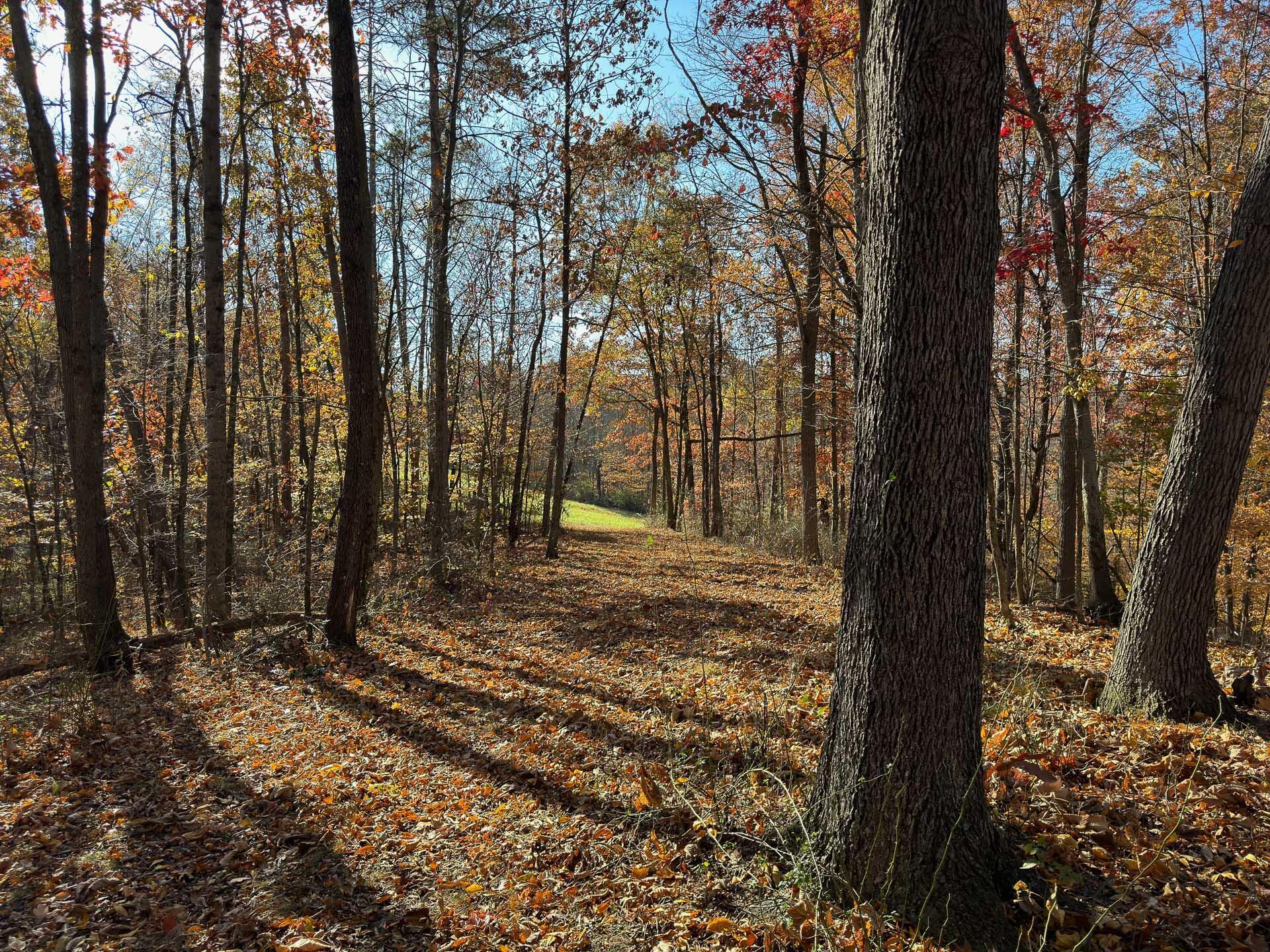 Flint Ridge Road, Hopewell, Ohio image 17