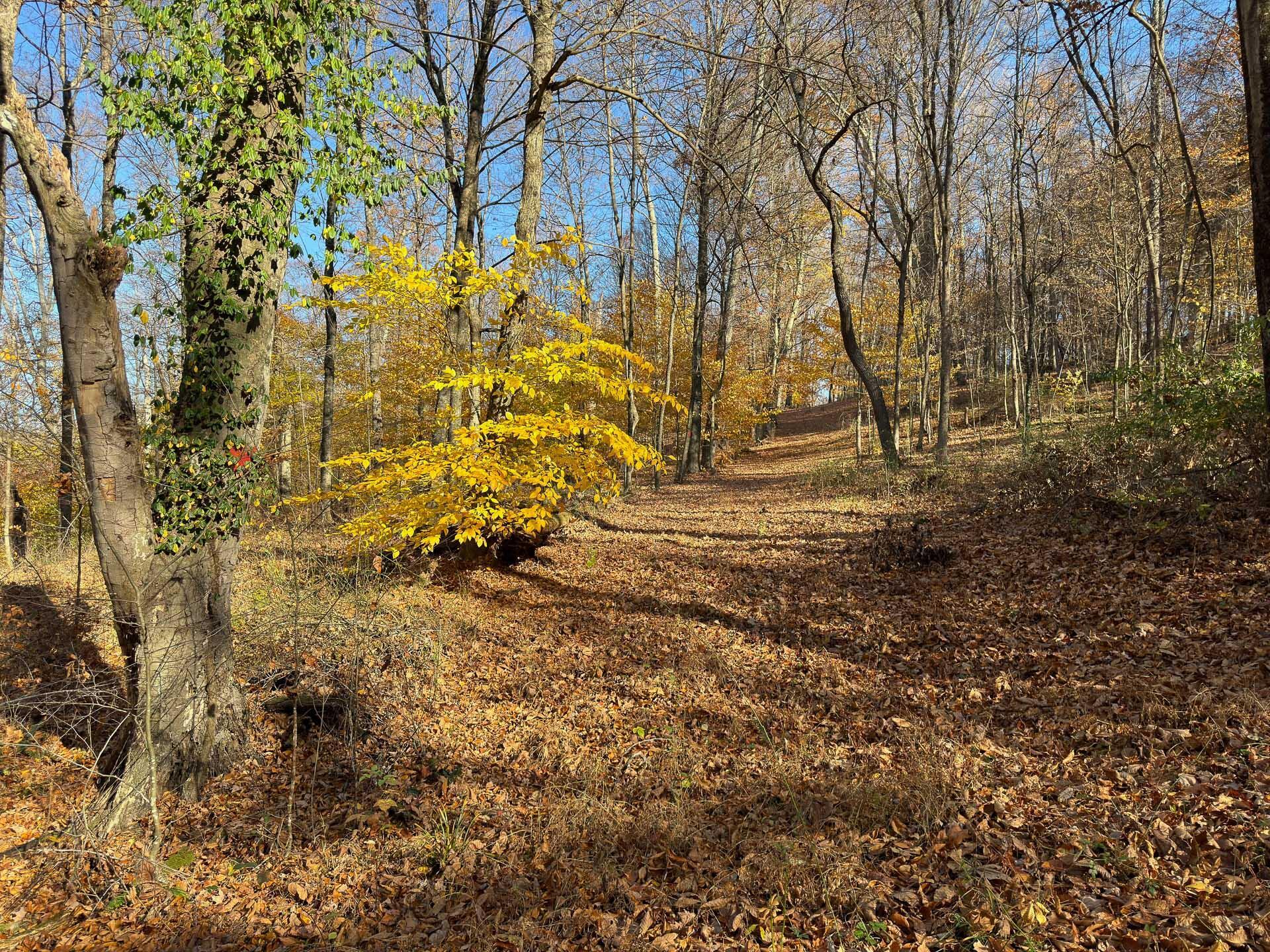 Flint Ridge Road, Hopewell, Ohio image 14