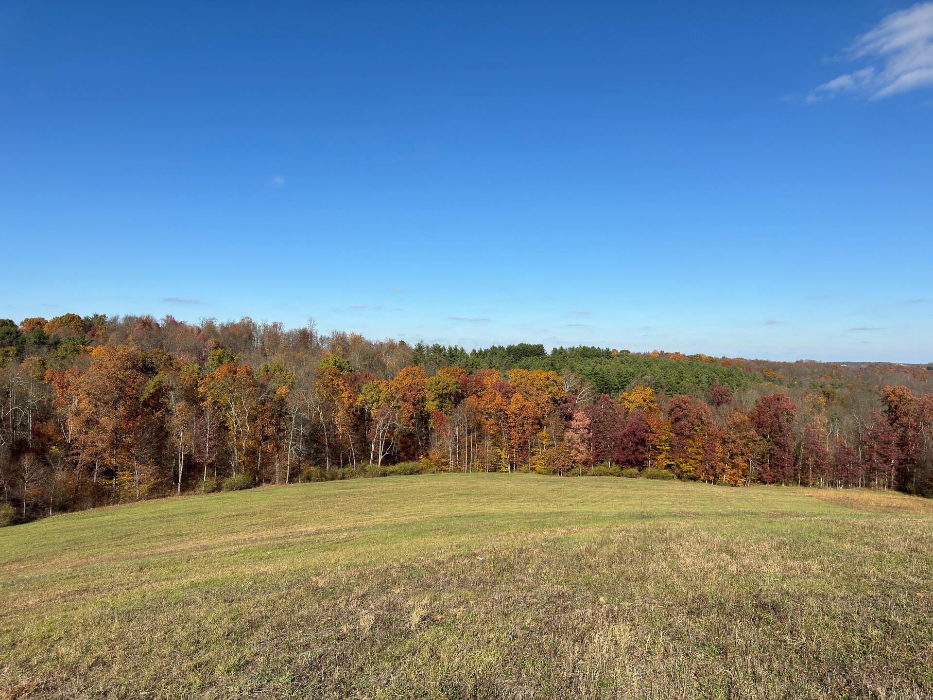 Flint Ridge Road, Hopewell, Ohio image 9