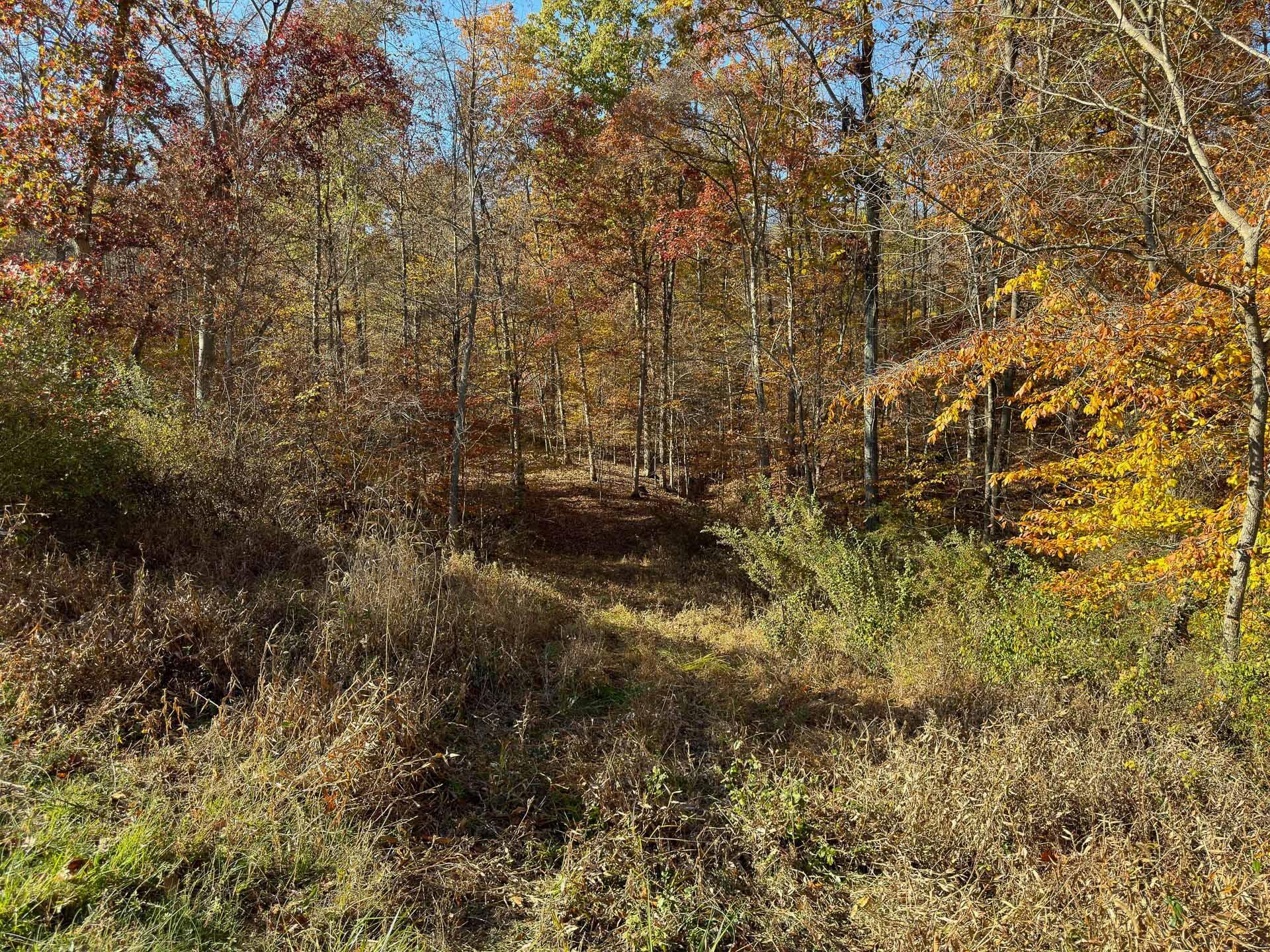 Flint Ridge Road, Hopewell, Ohio image 11