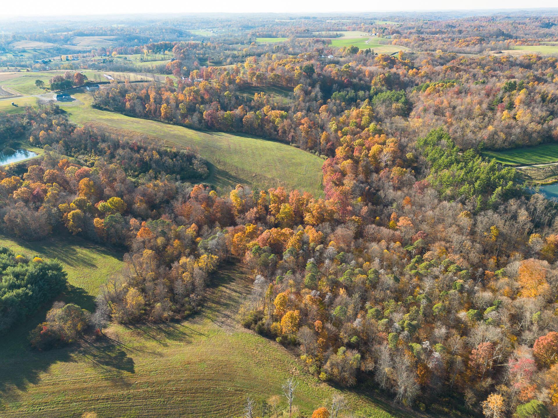 Flint Ridge Road, Hopewell, Ohio image 5
