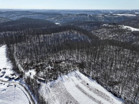 Vacant Land For Sale - 0 TRACT 6 Winland<br/> Monroe County, Graysville, OH 45734