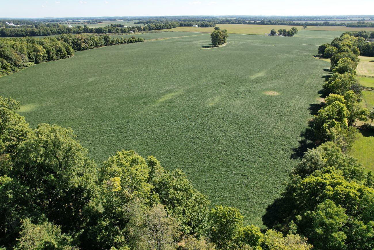 297 N State Route 560