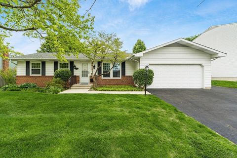 6959 Ardelle Drive Reynoldsburg OH 43068