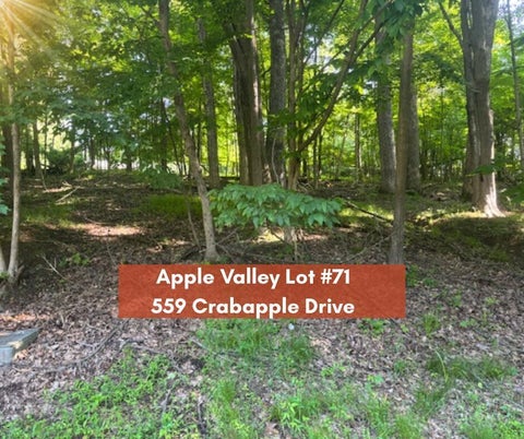 Photo for 559 Crabapple Drive