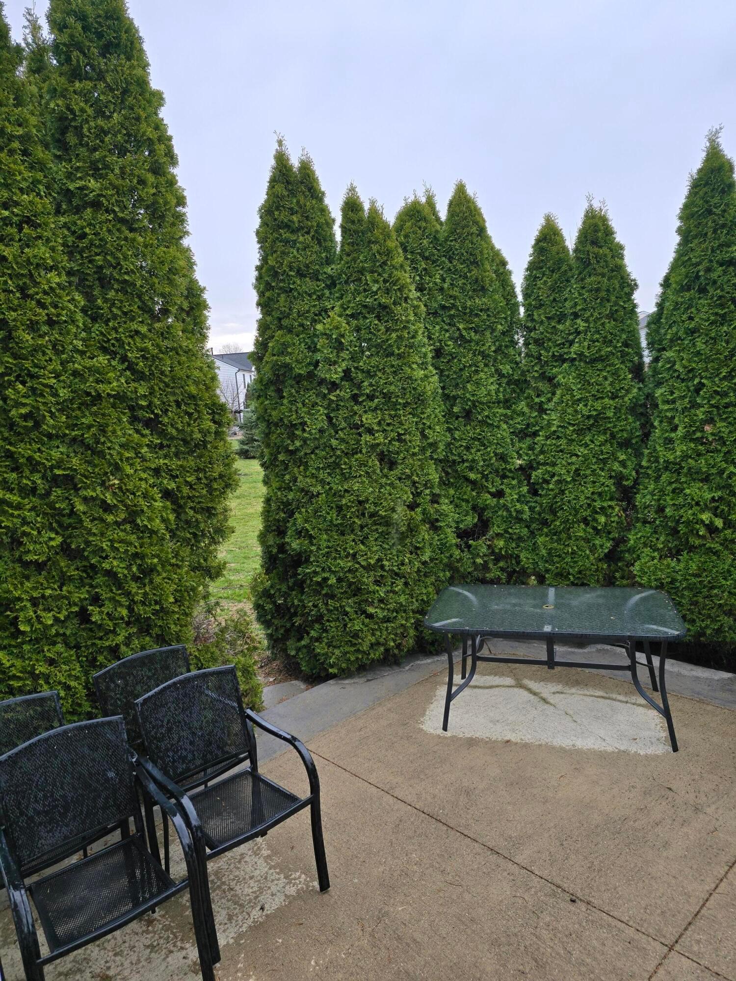 1610 Daffodil Place, Lewis Center, Ohio image 34