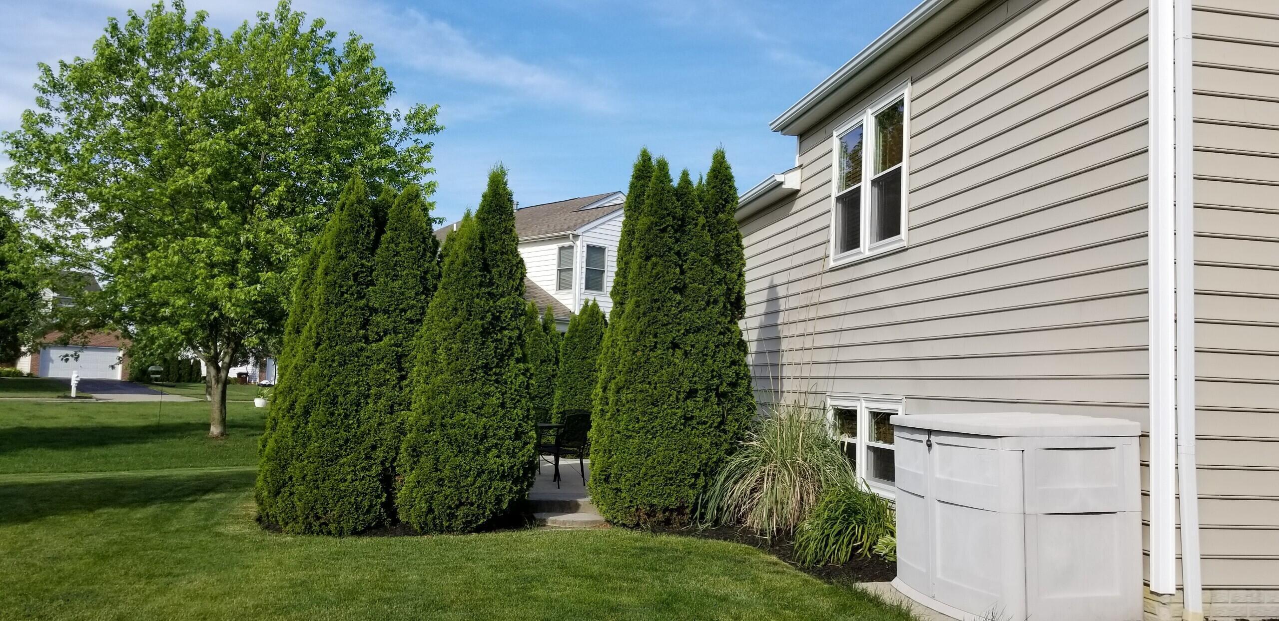 1610 Daffodil Place, Lewis Center, Ohio image 4