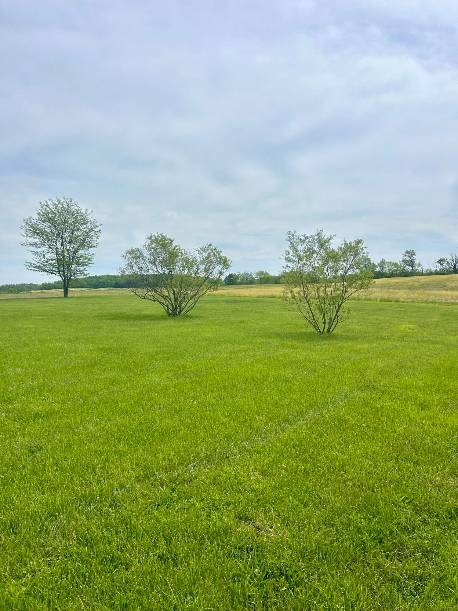 3617 Waugh Road, Frankfort, Ohio image 8