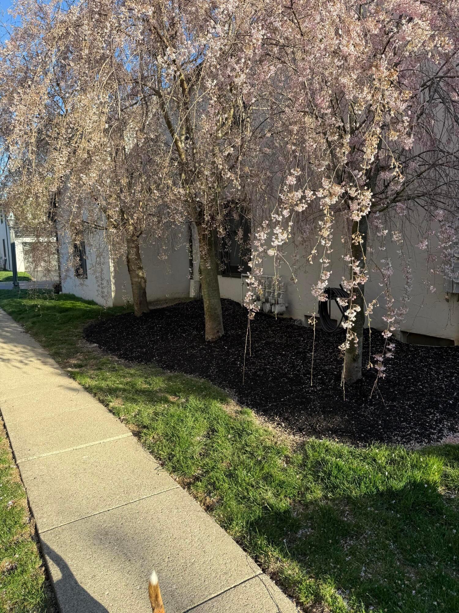 5199 Willow Grove Place #5199, Dublin, Ohio image 24