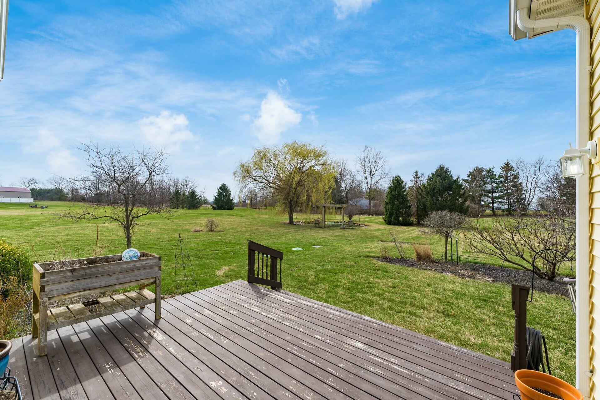 10555 Red Fox Street, Canal Winchester, Ohio image 45