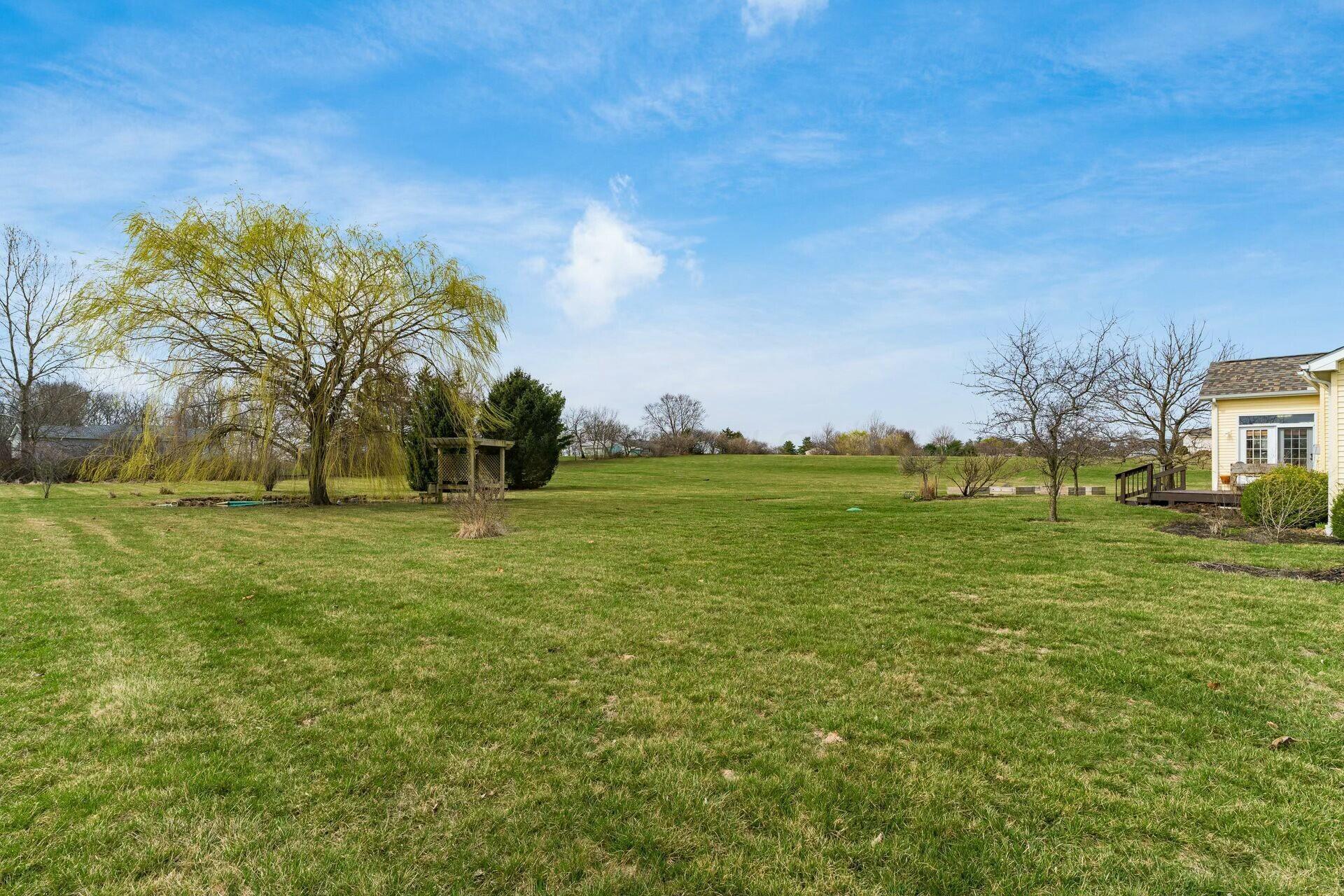 10555 Red Fox Street, Canal Winchester, Ohio image 47