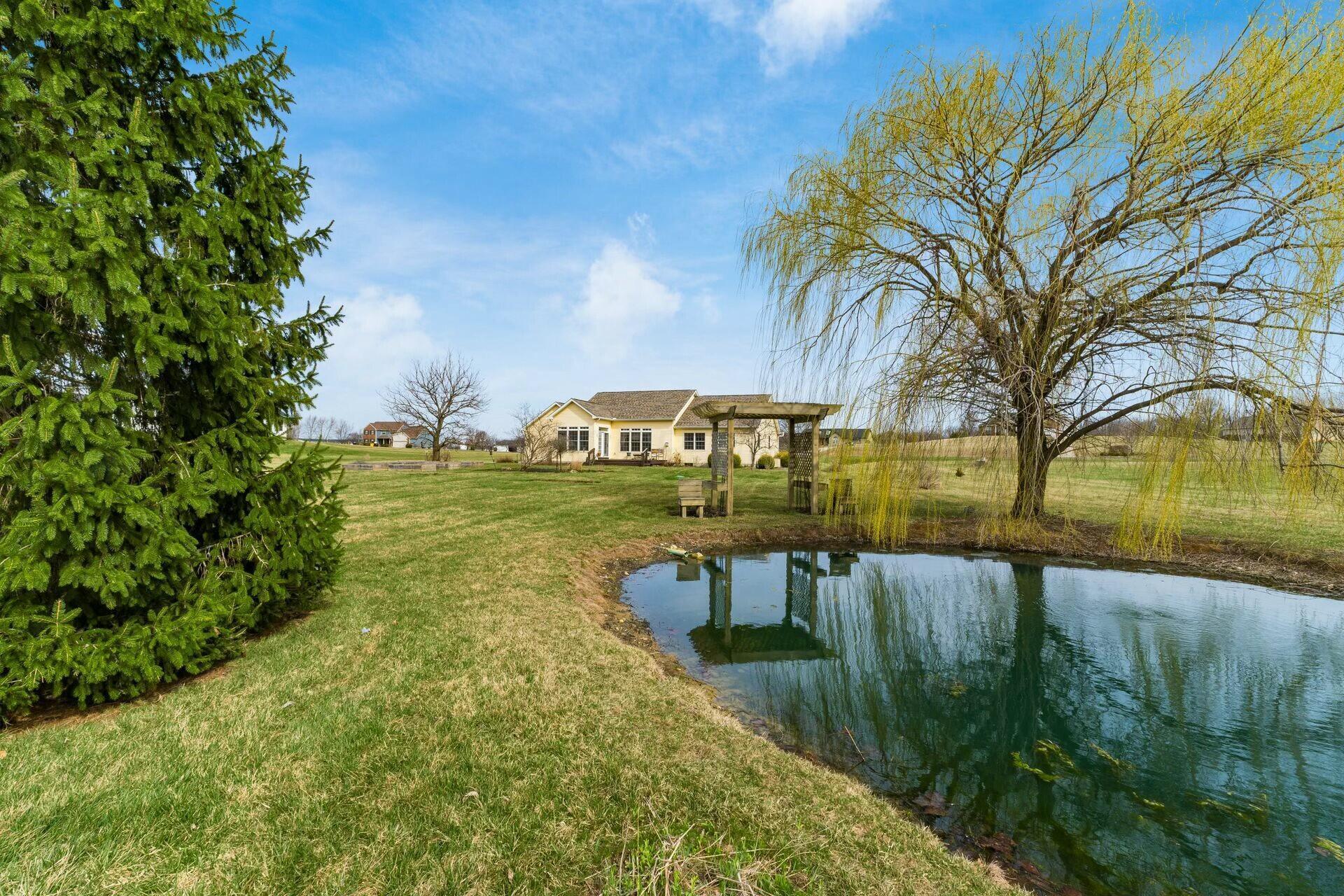 10555 Red Fox Street, Canal Winchester, Ohio image 41