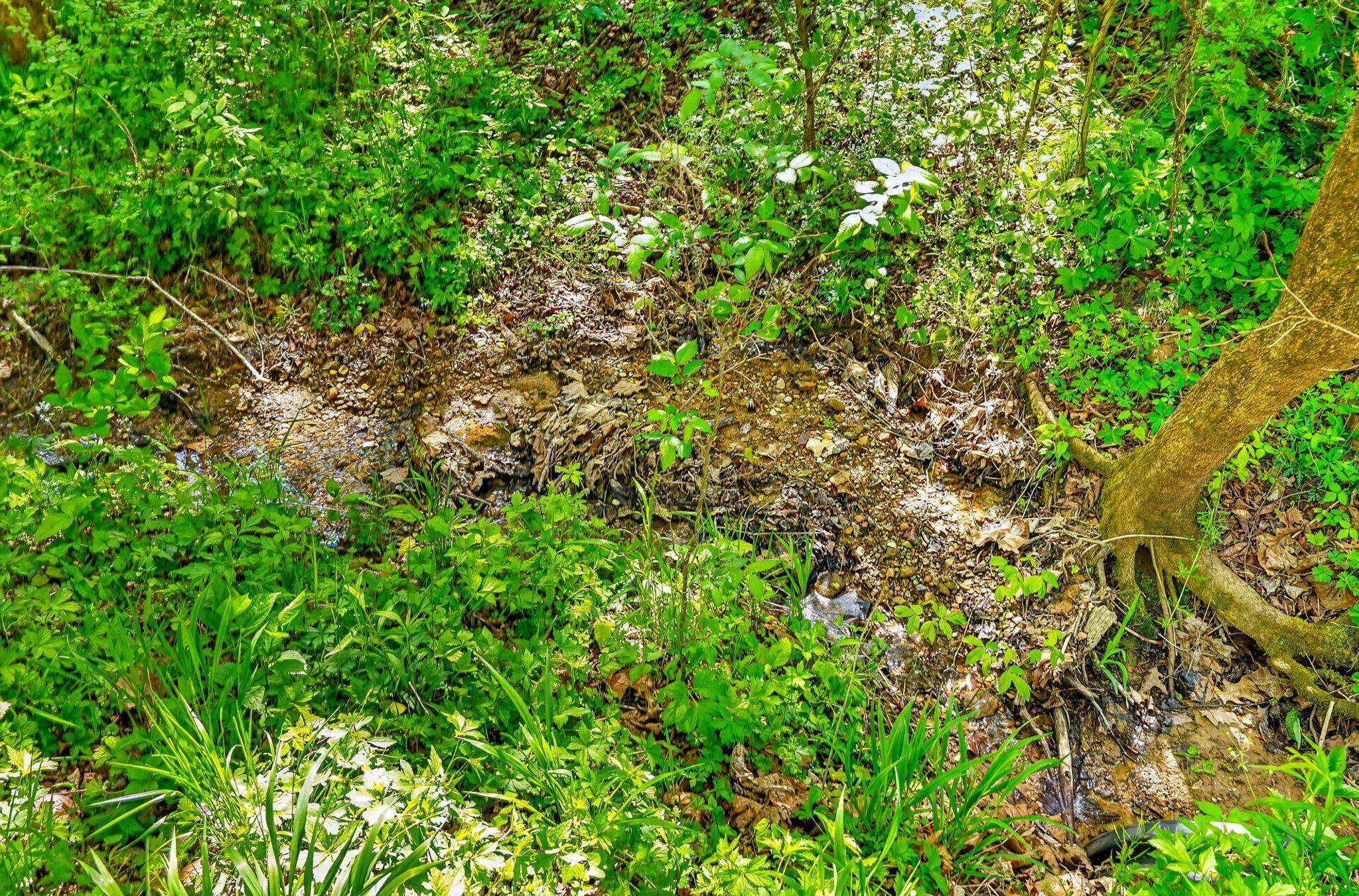 15955 Fossil Rock Road