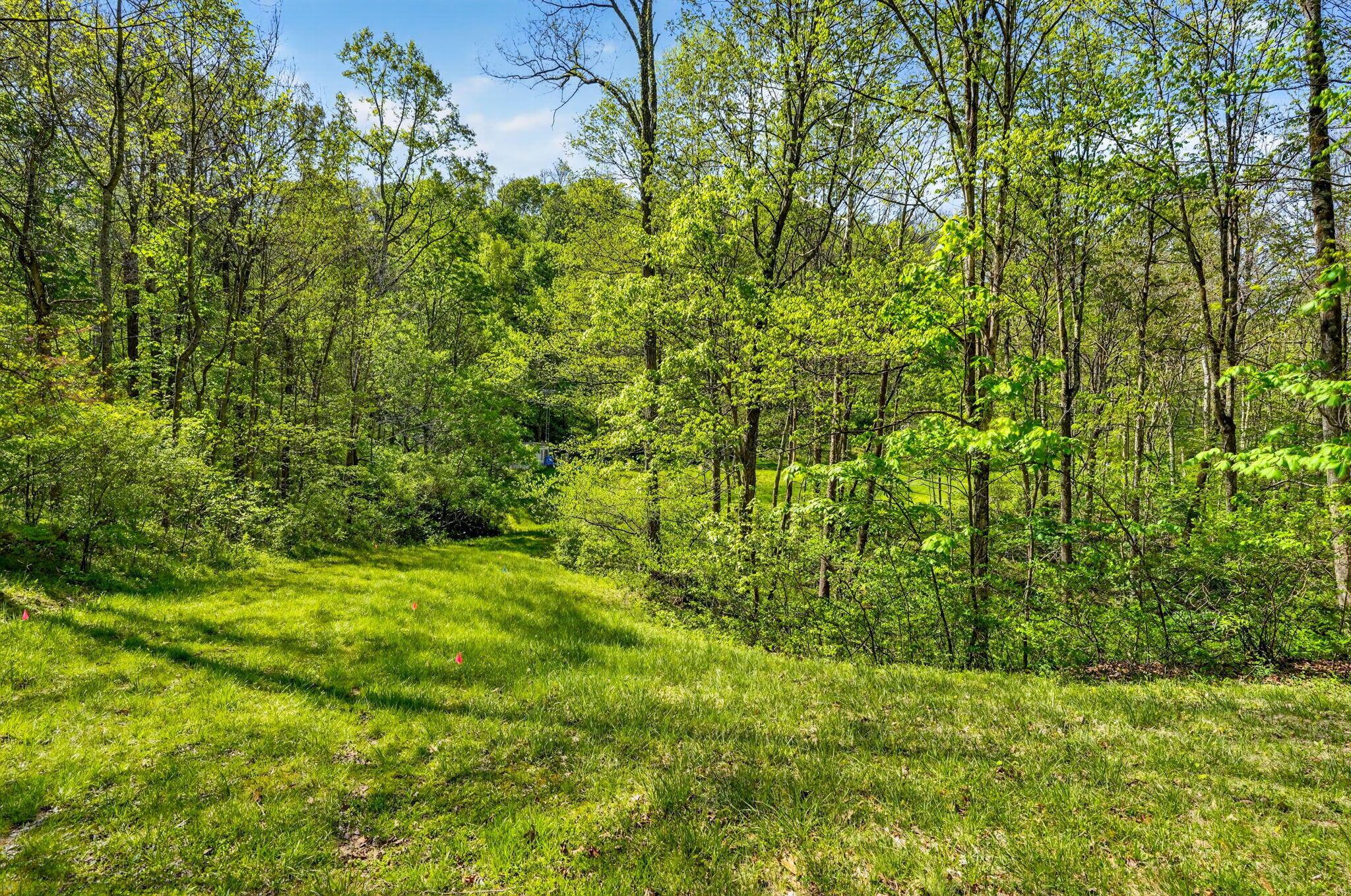 15955 Fossil Rock Road