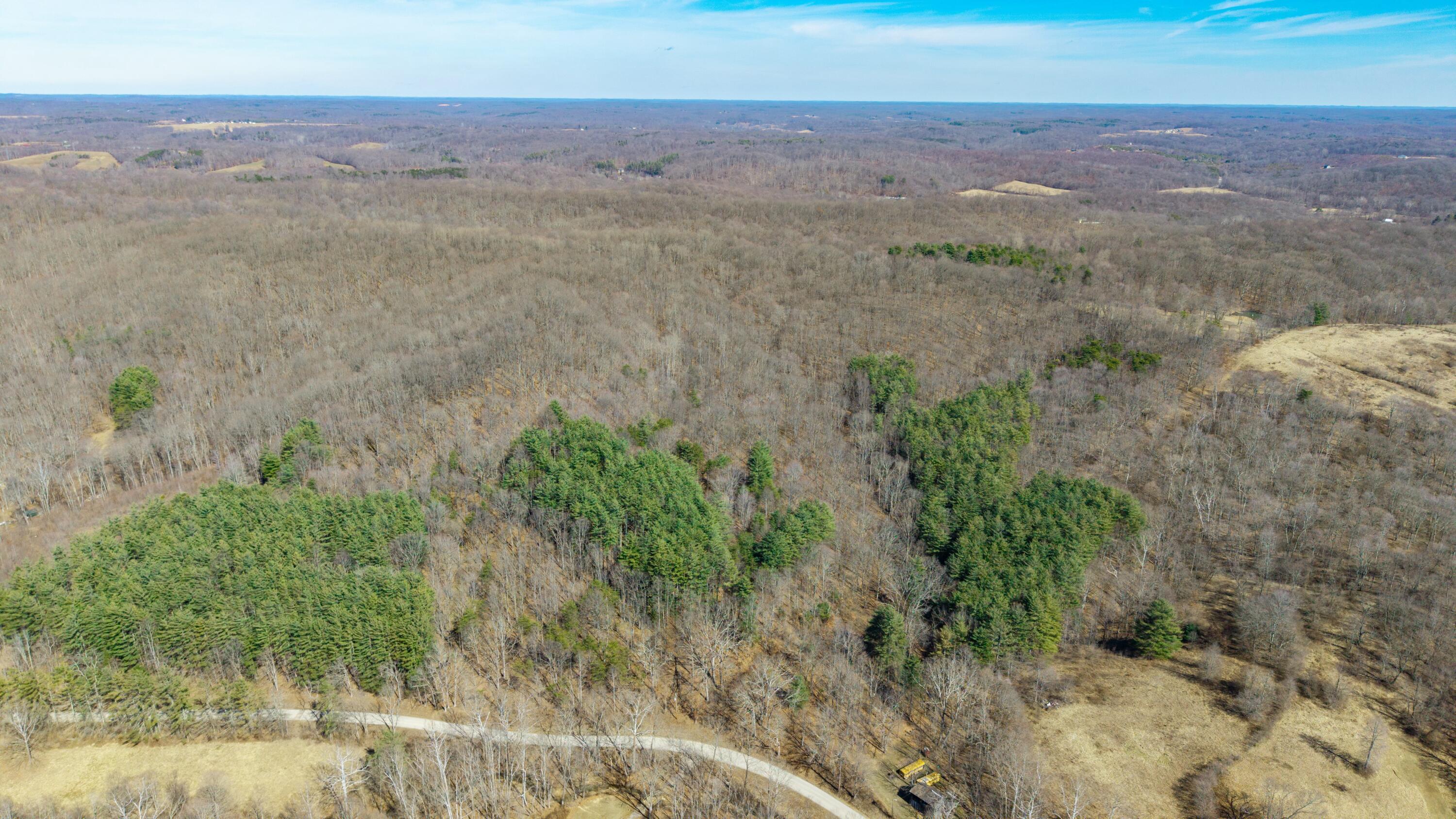 26145 Creola-hue Rd Road, Creola, Ohio image 3