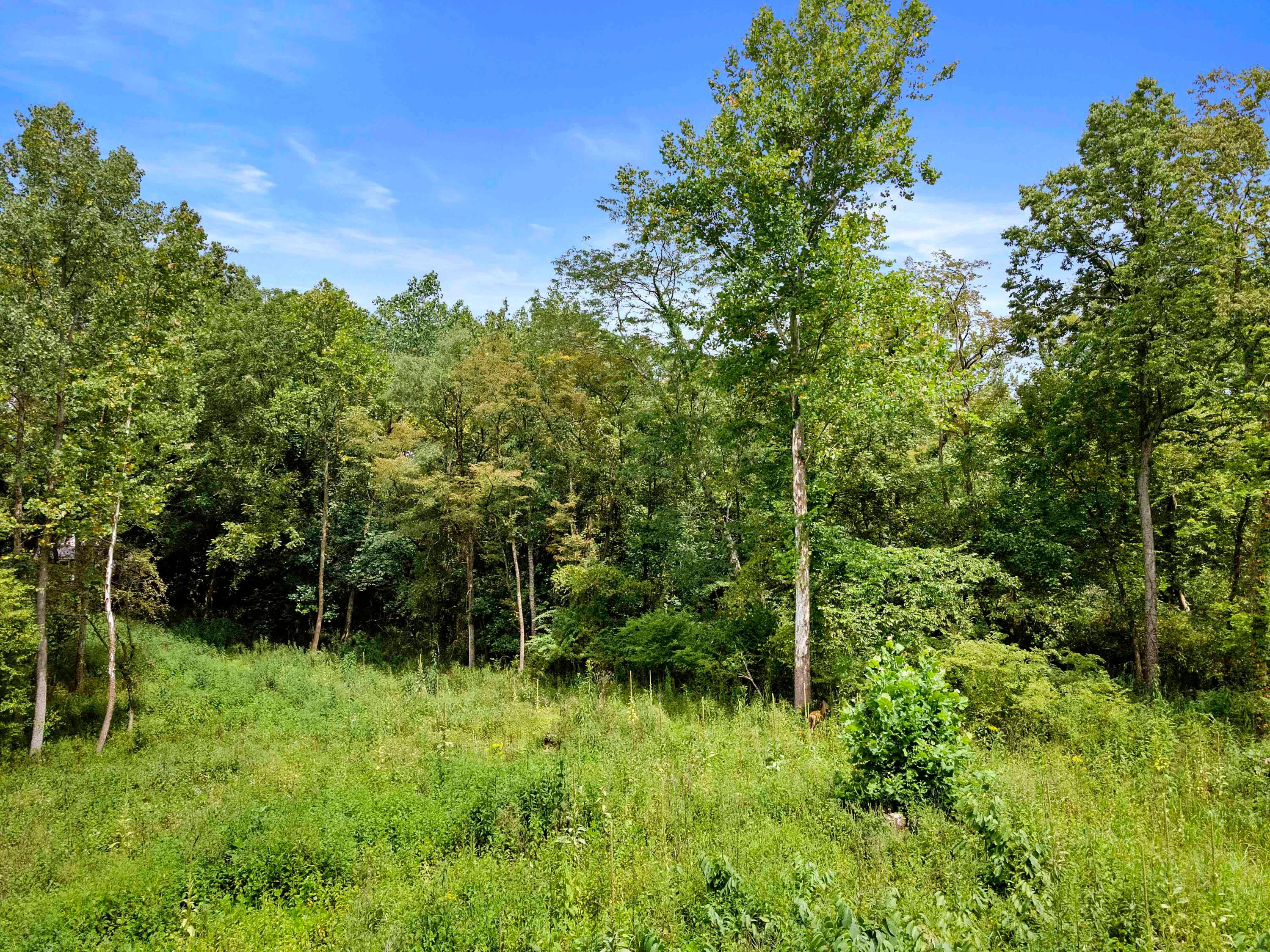 88 Hall Avenue, Newark, Ohio image 10