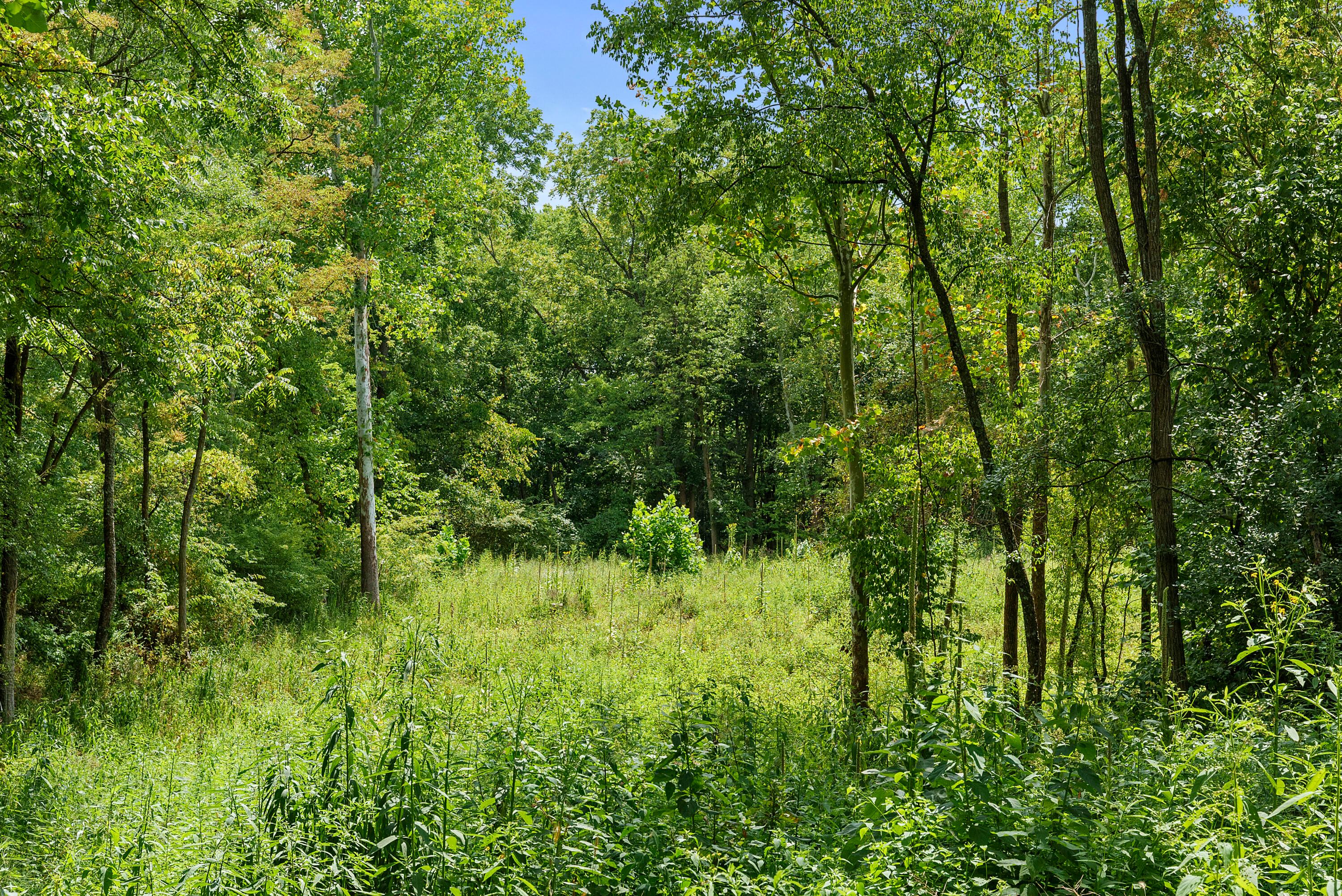 88 Hall Avenue, Newark, Ohio image 14