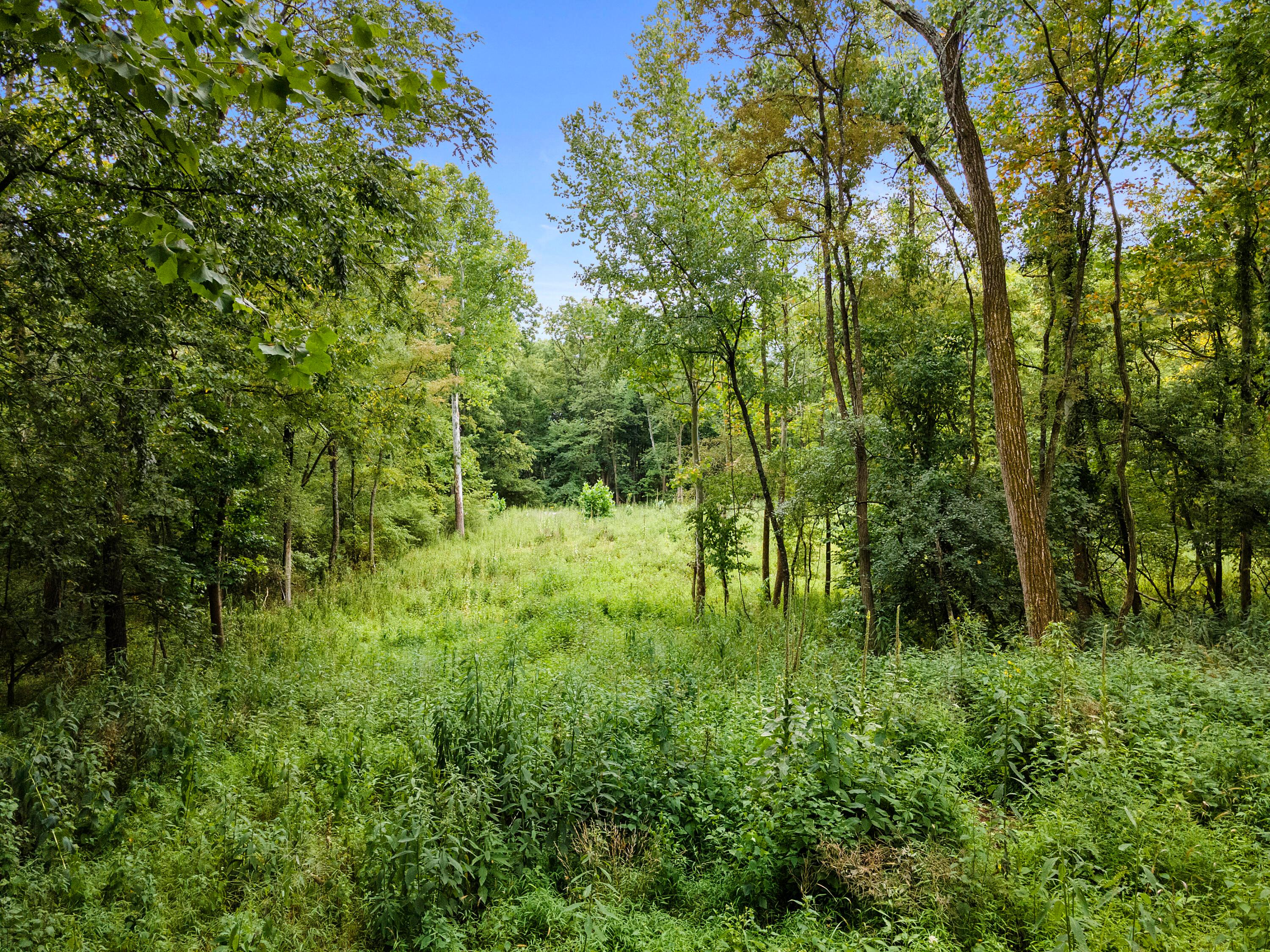 88 Hall Avenue, Newark, Ohio image 13