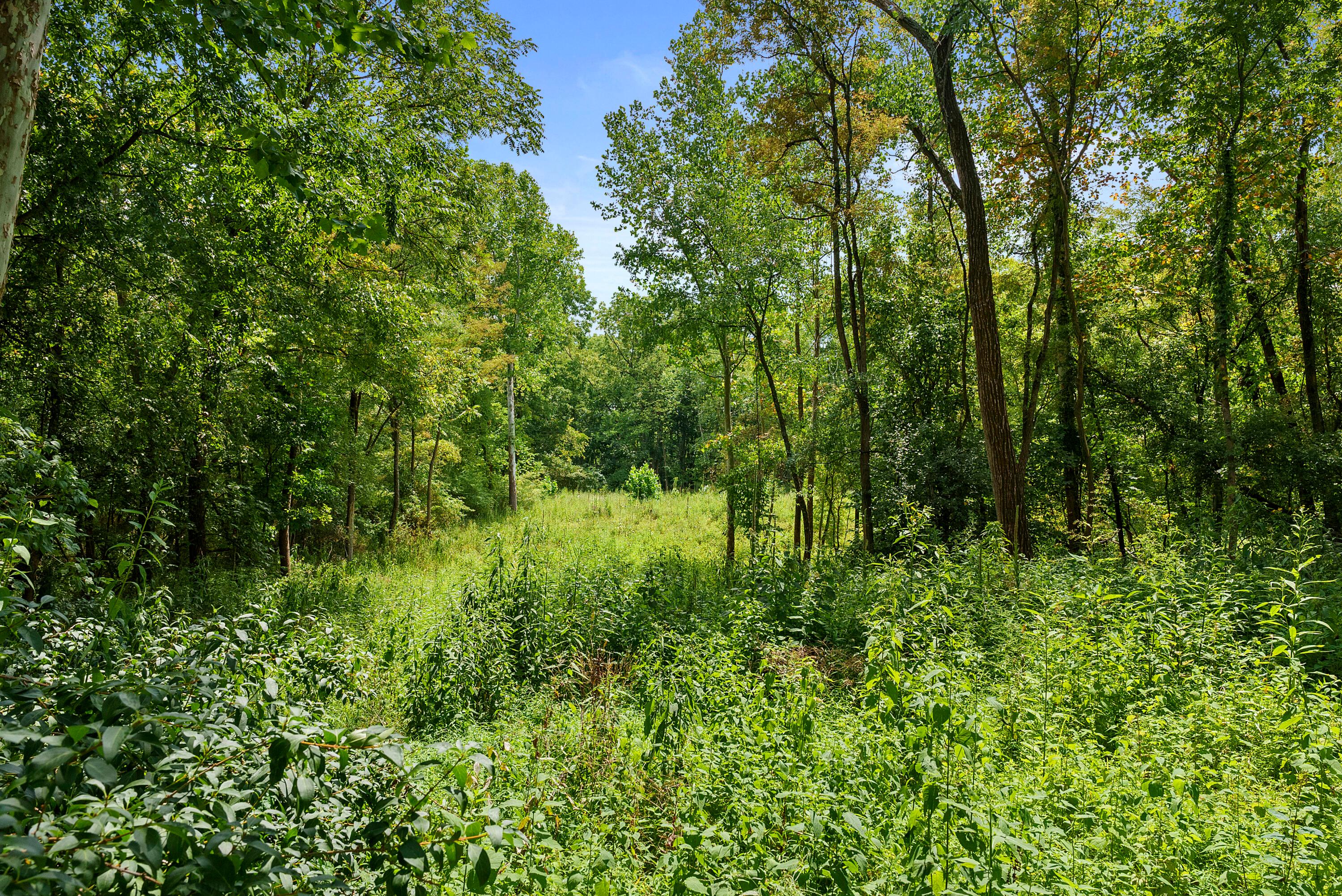 88 Hall Avenue, Newark, Ohio image 15