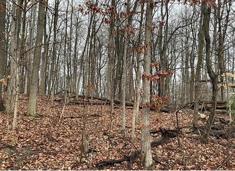 Photo of 0 Headleys Mill Road SW 5 acres #5 acres, Pataskala, OH 43062 (MLS # 226000209)