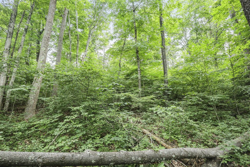 Photo of 21671 Chilcote Road, South Bloomingville, OH 43152 (MLS # 226022799)