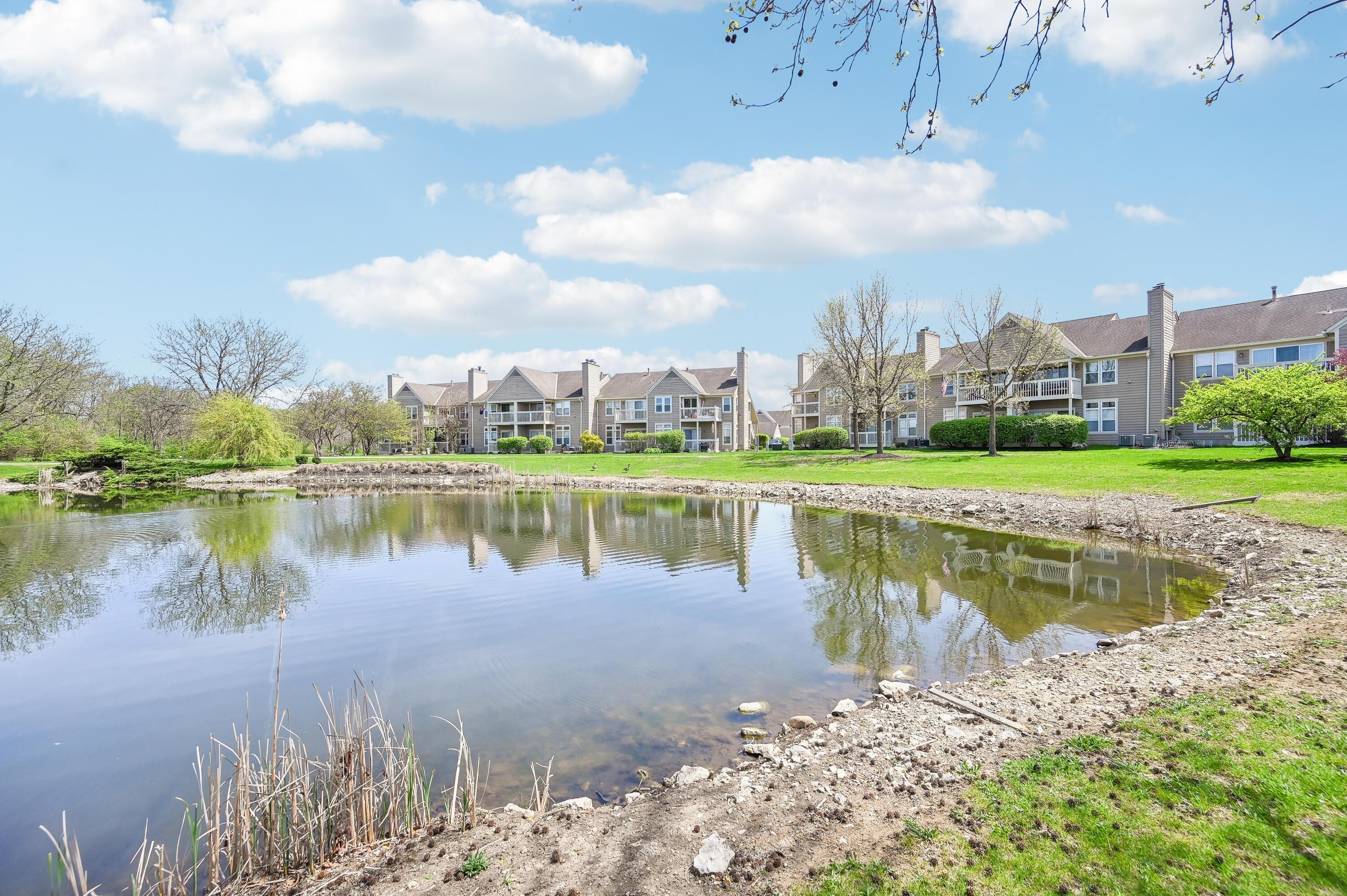 3572 Fishinger Mill Drive, Hilliard, Ohio image 25