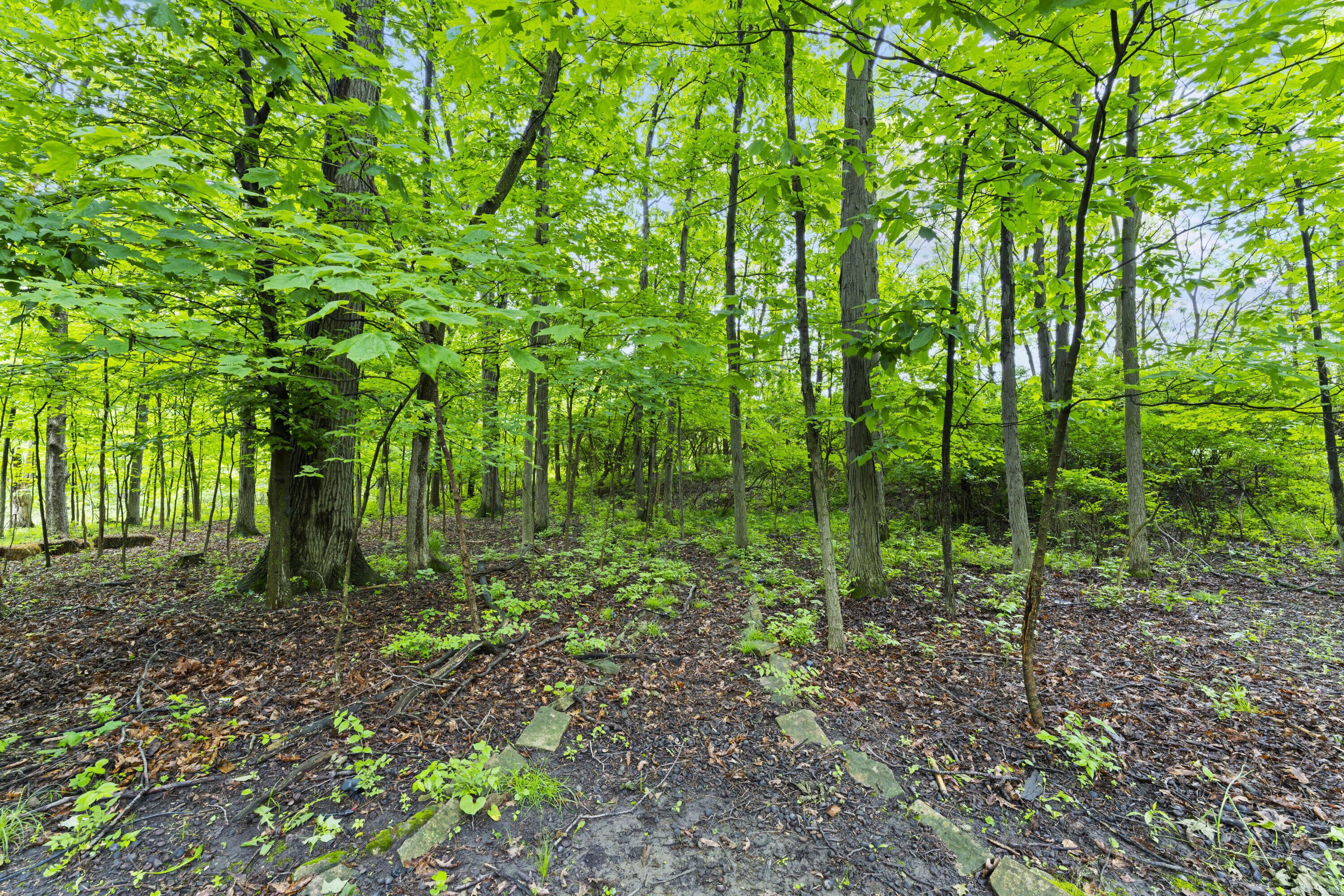 8039 Crossgate Court, Dublin, Ohio image 45