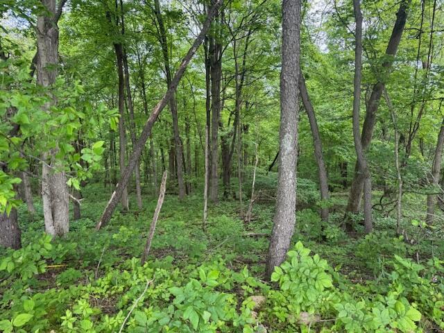 34278 Township Road 373, Warsaw, Ohio image 38
