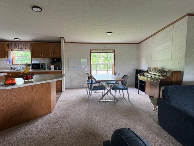 34278 Township Road 373, Warsaw, Ohio image 11