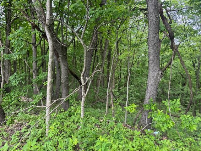 34278 Township Road 373, Warsaw, Ohio image 37