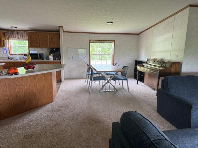 34278 Township Road 373, Warsaw, Ohio image 12